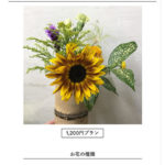 bloomeelife花の写真
