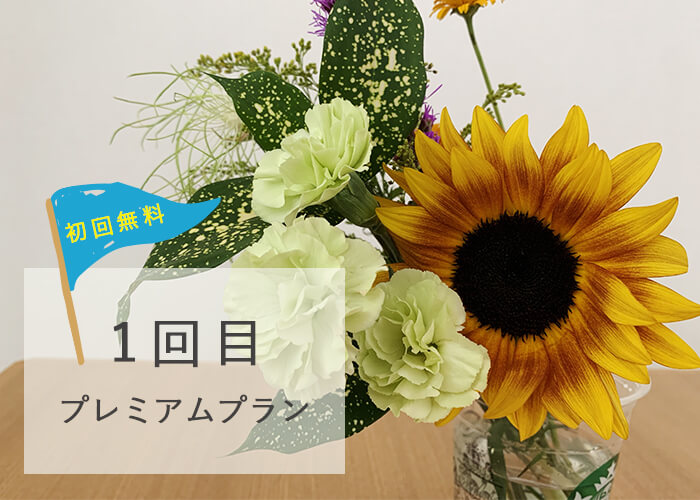 ブルーミーライフ1200円プランの花