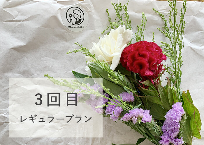 ブルーミーライフ800円プランの花