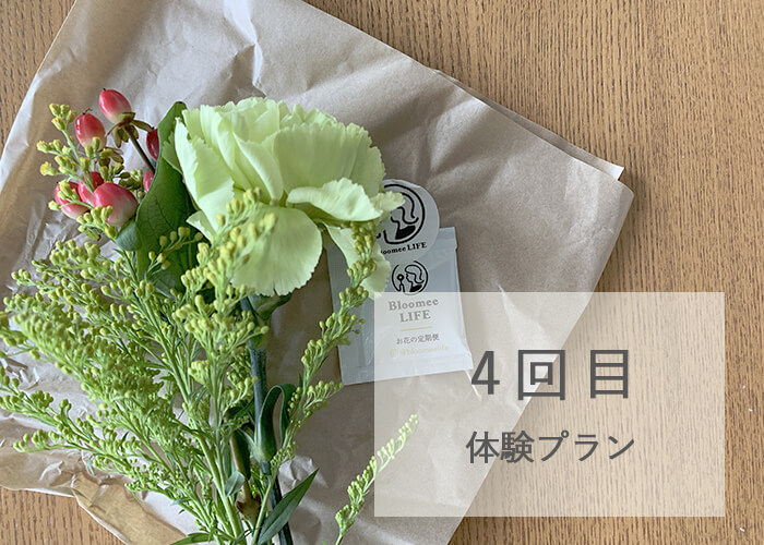 ブルーミーライフ500円プランの花